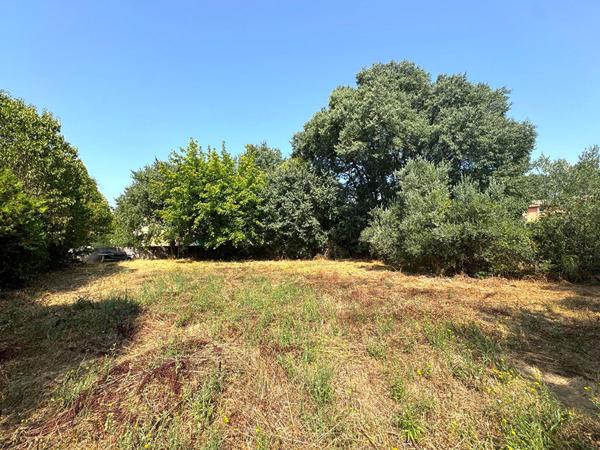 Terrain 1379 m2