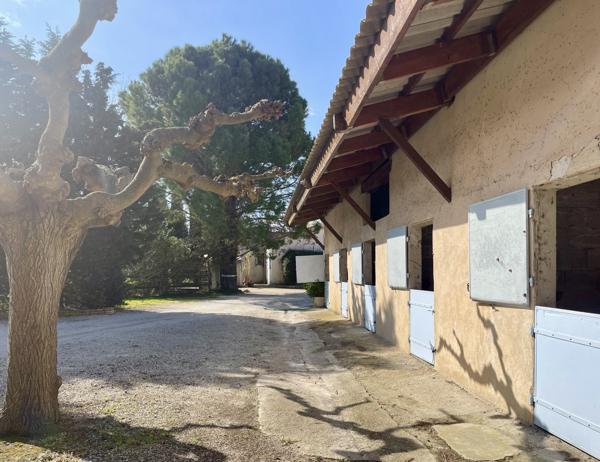 Sénas (13560) Propriété d'exception - 600 m² habitables - 6,4 hectares