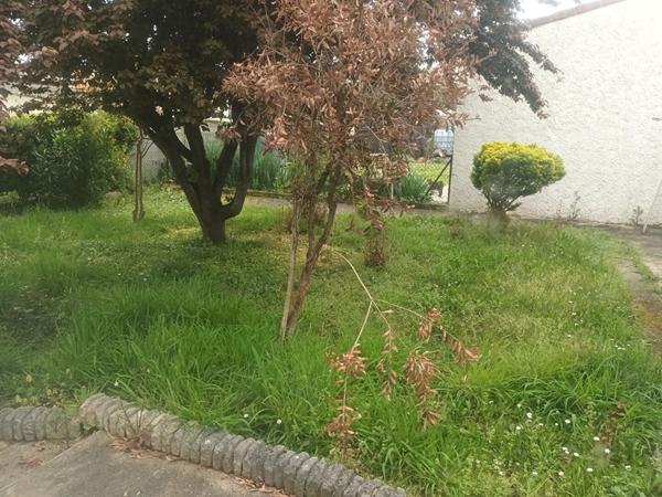 Maison de plain-pied avec garage et jardin Tonneins