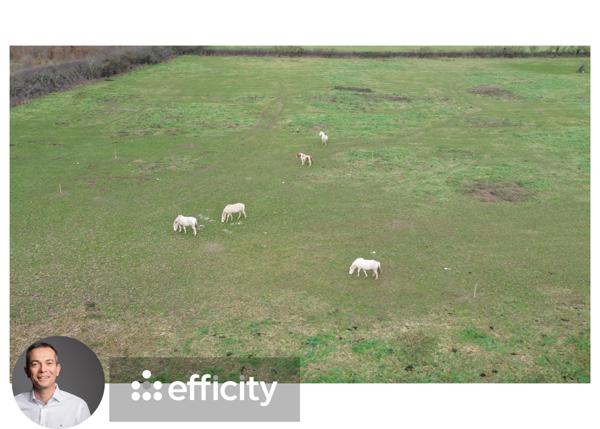 Terrain - 853 m²