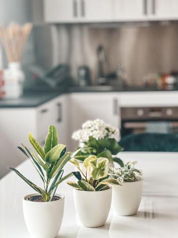 Appartement T2 MEUBLE avec balcon et stationnement