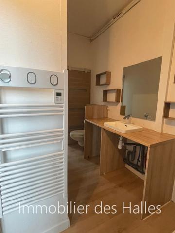 Centre ville de Renazé, appartement T2 , Renaze