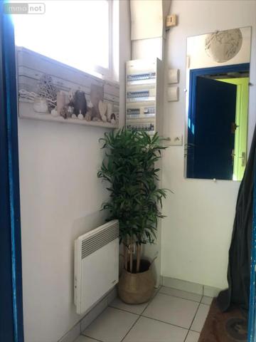 Location - Appartement Saint-Vaast-la-Hougue 50550 3 pièces 50 m 2