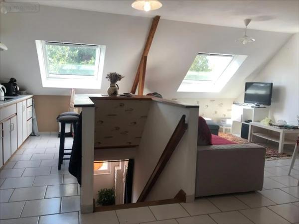 Location - Appartement Saint-Vaast-la-Hougue 50550 3 pièces 50 m 2