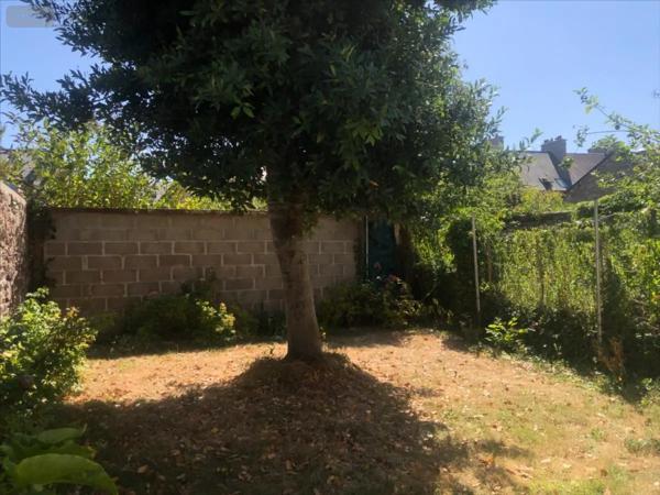 Location - Appartement Saint-Vaast-la-Hougue 50550 3 pièces 50 m 2