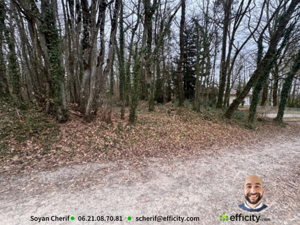 Terrain - 2348 m² Exclusivité efficity