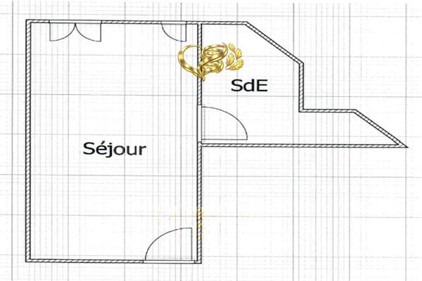 ‘SAVONNIER ESPIEGLE’ : studio rénové hyper centre - 25 m2