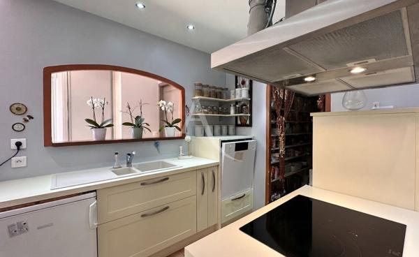 DEUX VILLAS AVEC TERRASSES GARAGE DEPENDANCE ATELIER GREOUX LES BAINS