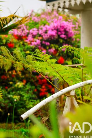 Maison à vendre 17 pièces 681 m² Saint-Paul