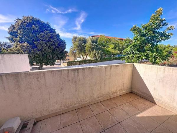 Vente Appartement 2 pièces 46 m2 à Calvi