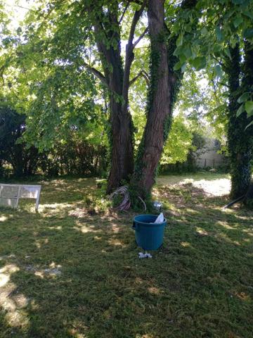 Le Mas-d'Agenais (47430) Grande maison, très lumineuse, 5 chambres, garage.