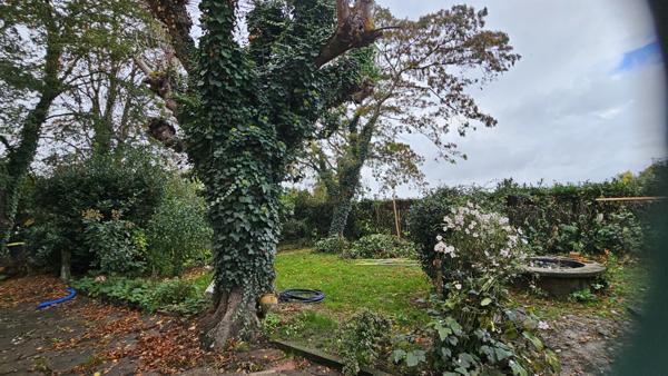 Le Mas-d'Agenais (47430) Grande maison, très lumineuse, 5 chambres, garage.