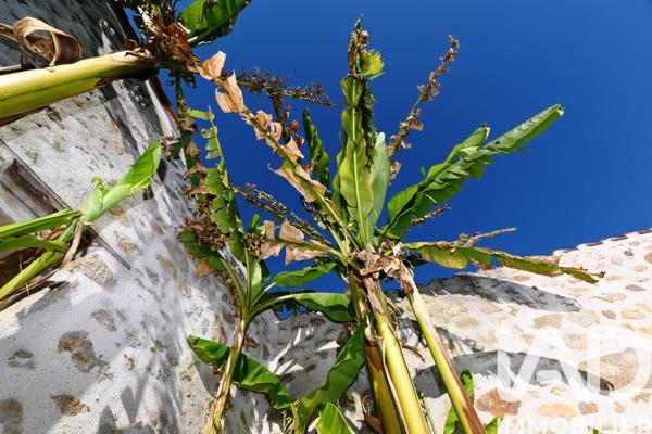 Maison à vendre 7 pièces 178 m² Le Poiré-sur-Vie