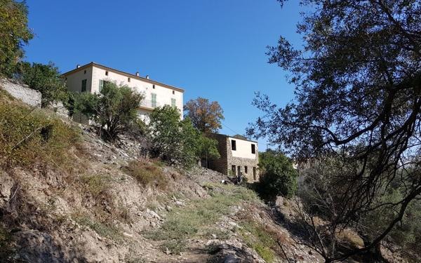 Maison à vendre    9 pièces • 203 m2 Santo-Pietro-di-Tenda