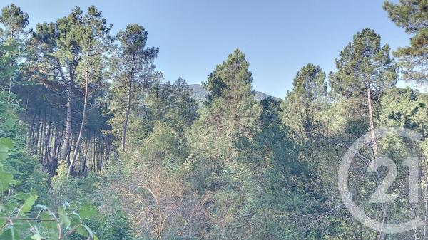 Immeuble à vendre  214 m2 STE CECILE D ANDORGE - 30