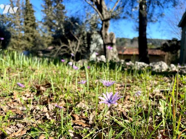 GRASSE/St-Antoine, Che. des Chèvrefeuilles. Propriété de 200m² avec piscine - Vente en NUE-PROPRIETE