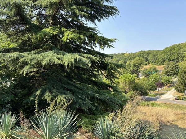 Au coeur du village