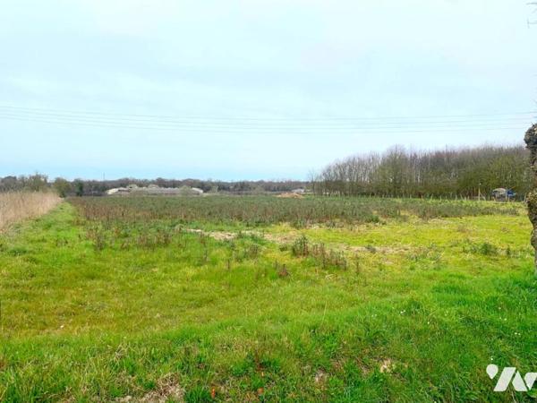 Terrain à bâtir viabilisé - Jugon les Lac