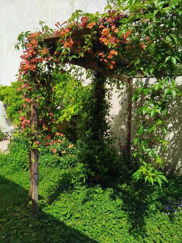 Bien rare aux portes de Paris – Appartement mixte de plein pied à usage d’habitation avec jardin privatif