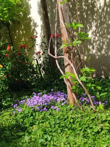Bien rare aux portes de Paris – Appartement mixte de plein pied à usage d’habitation avec jardin privatif