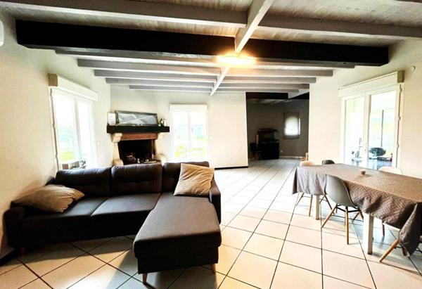 Grande maison 4ch, piscine et vaste jardin