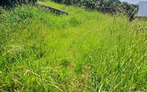 Maison à vendre    4 pièces • 106 m2 Petite-Île