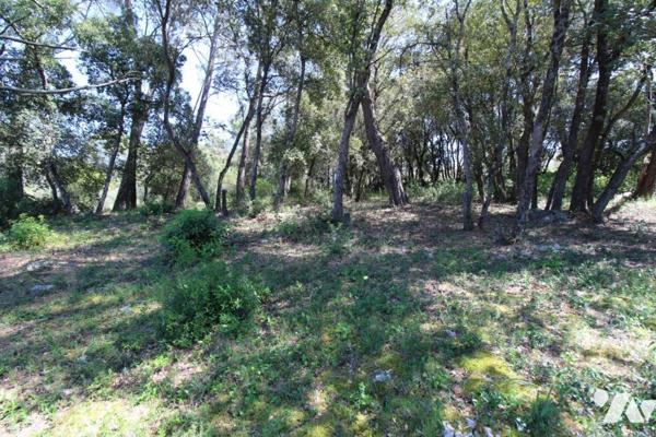 Villa avec piscine Taradeau 5300 m² de terrain