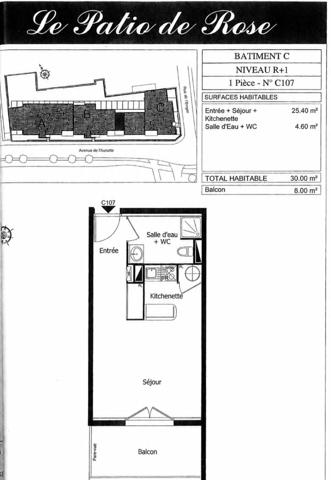 Studio à vendre 29,51 m² Ris-Orangis