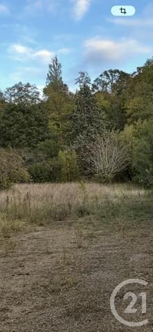 Terrain à vendre  1200 m2 MURET - 31