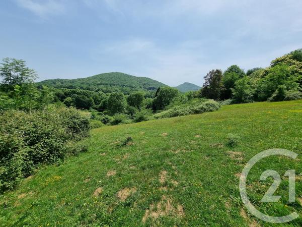 terrain à vendre  2500 m2 ENCAUSSE LES THERMES - 31