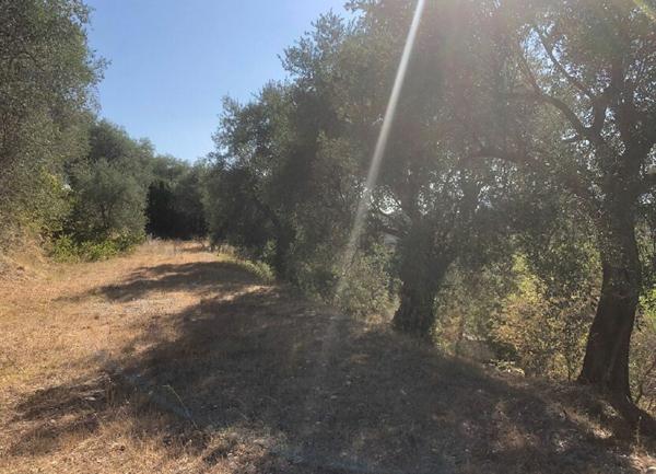 Terrain à vendre    Colomars