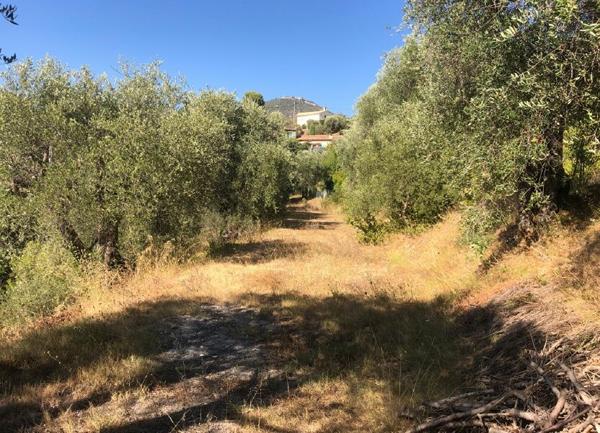 Terrain à vendre    Colomars