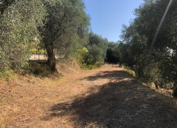 Terrain à vendre    Colomars