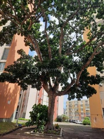 Situé dans le quartier de l’Assainissement, au 1er étage d’une résidence de dix étages sécurisée et équipée de la fibre.

D’une superficie de 58 m² Carrez et 73 m² au sol, il se compose d’un séjour s’ouvrant  sur une loggia par une baie vitrée, d’une cuisine aménagée et équipée bénéficiant également d’un accès à cet espace extérieur par une porte-fenêtre, de deux chambres dont une climatisée, d’une salle d’eau rénovée avec douche à l’italienne et WC, ainsi que d’une petite buanderie à l’entrée.

La loggia, entièrement fermée et sécurisée, agrandit agréablement l’espace de vie.

L’appartement est en bon état général, propre et bien entretenu. La résidence dispose également d’un parking avec des emplacements de stationnement.

Un appartement fonctionnel, qui pourra convenir aussi bien à un premier achat, à une petite famille ou à un investisseur.
Sa situation centrale permet de rejoindre facilement les commerces, écoles et services de Pointe-à-Pitre ainsi que les principaux axes routiers.

Si vous pensez que ce bien peut correspondre à votre projet, n’hésitez pas à me contacter pour en échanger.
