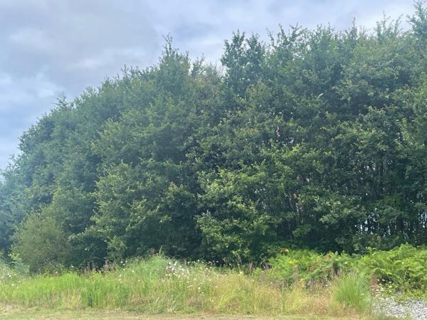 Terrain pour votre projet de construction