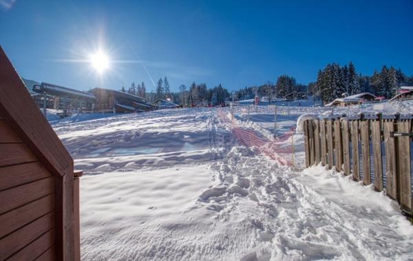 Vente Appartement P3 Pieds pistes avec terrasse sud rénové(e) Morillon   