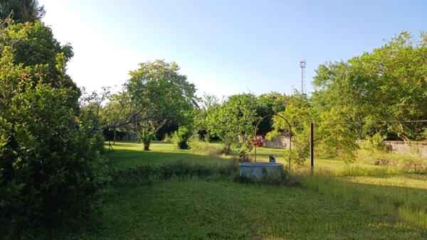 EN VENTE - SANCOINS - Pavillon sur sous-sol ,3 chambres, dépendances et terrain de 1229m² environ