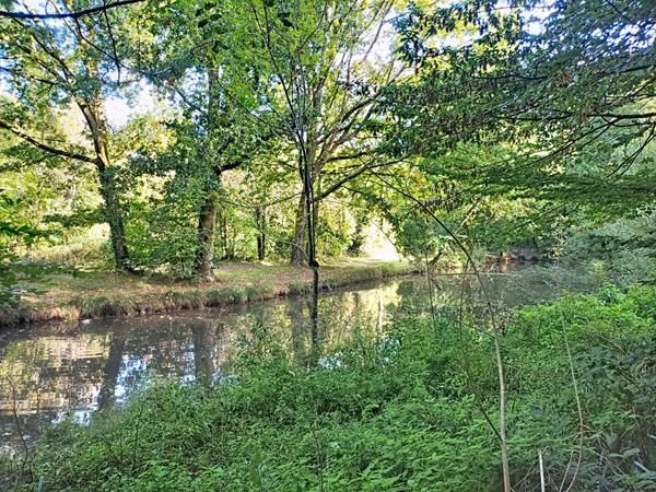 Vente appartement Nantes : 329 700 € - AJP Immobilier Nantes Rond-Point de Rennes