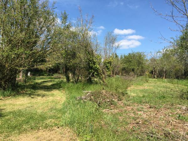 TERRAIN A BATIR - MONTAMISE Montamisé (86360)