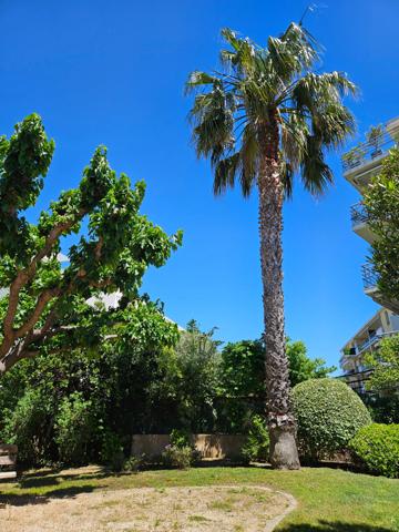 Superbe T2 rez-de-jardin refait à neuf – Marseille 8ème / secteur Bonneveine – Vieille Chapelle