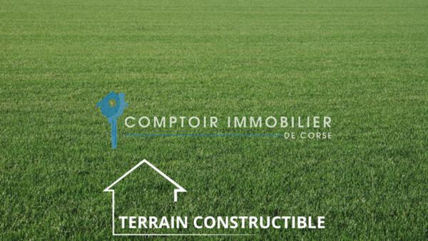 Terrain