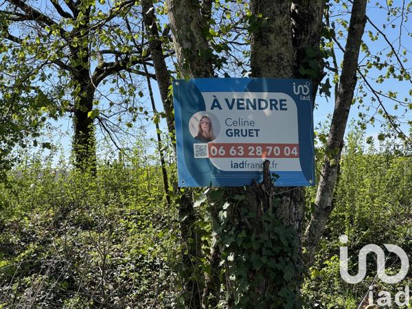 Terrain à vendre 1 041 m² Saint-Benoît