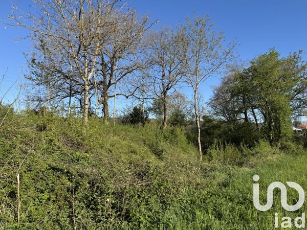 Terrain à vendre 1 041 m² Saint-Benoît