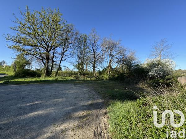 Terrain à vendre 1 041 m² Saint-Benoît