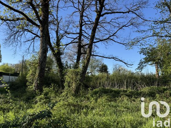 Terrain à vendre 1 041 m² Saint-Benoît