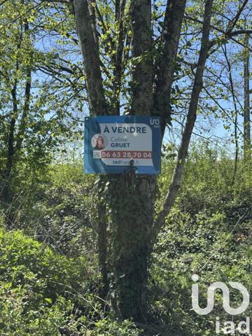 Terrain à vendre 1 041 m² Saint-Benoît