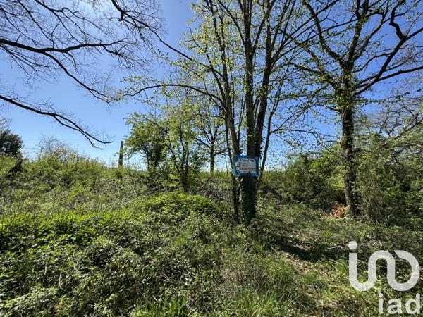 Terrain à vendre 1 041 m² Saint-Benoît