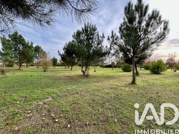 Terrain à vendre 9 106 m² Allonnes