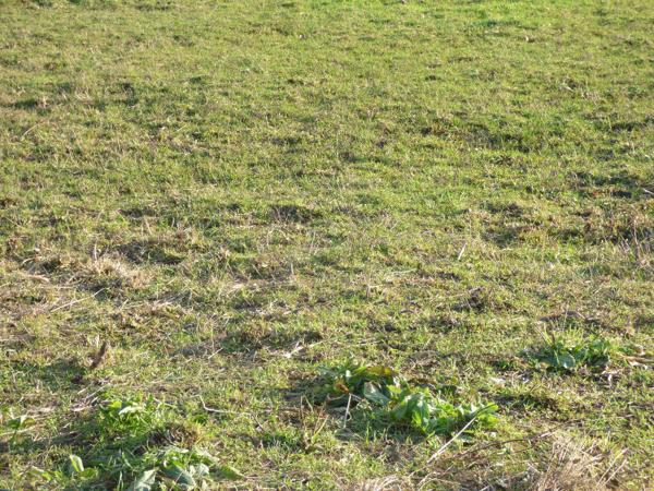 Terrain Saint Hilaire De Riez quartier du terre-fort 422 m2