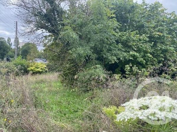 Terrain à vendre  531 m2 YERRES - 91